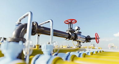 AB'den doğalgaz kullanmayan elektrik santrallerine gelir kesintisi teklifi