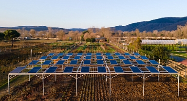 Enerjisa ve Komşuköy'den agrivoltaik tarım