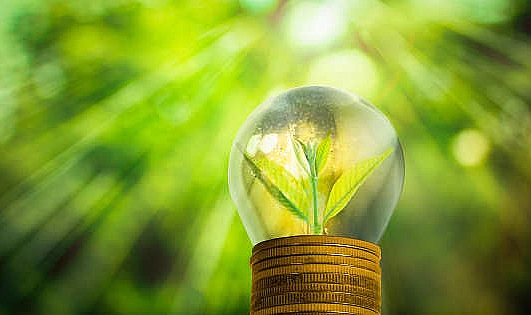 GreenOne yüzde 10 kazandırdı