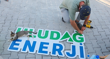 Uludağ Enerji, Hatay Kampüsünde Sokak Hayvanlarını da Unutmadı