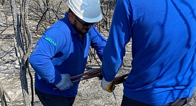 Enerji Hatları Yangının Ardından Yeniden Onarılıyor