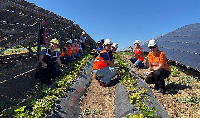 Enerjisa Üretim Agrivoltaik Tarım Uygulamaları ile 5 Ton Hasat Yaptı