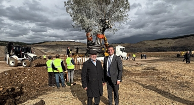 Türkiye’nin tek seferde yapılan en büyük maden rehabilitasyon projesinde zeytin fidanları toprakla buluştu