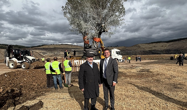 Türkiye’nin tek seferde yapılan en büyük maden rehabilitasyon projesinde zeytin fidanları toprakla buluştu