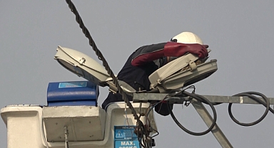 UEDAŞ'ın Sokak Lambaları Kuşlara Yuva Oldu