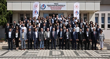 TEDAŞ, Türkiye Elektrik Dağıtım Sektöründe