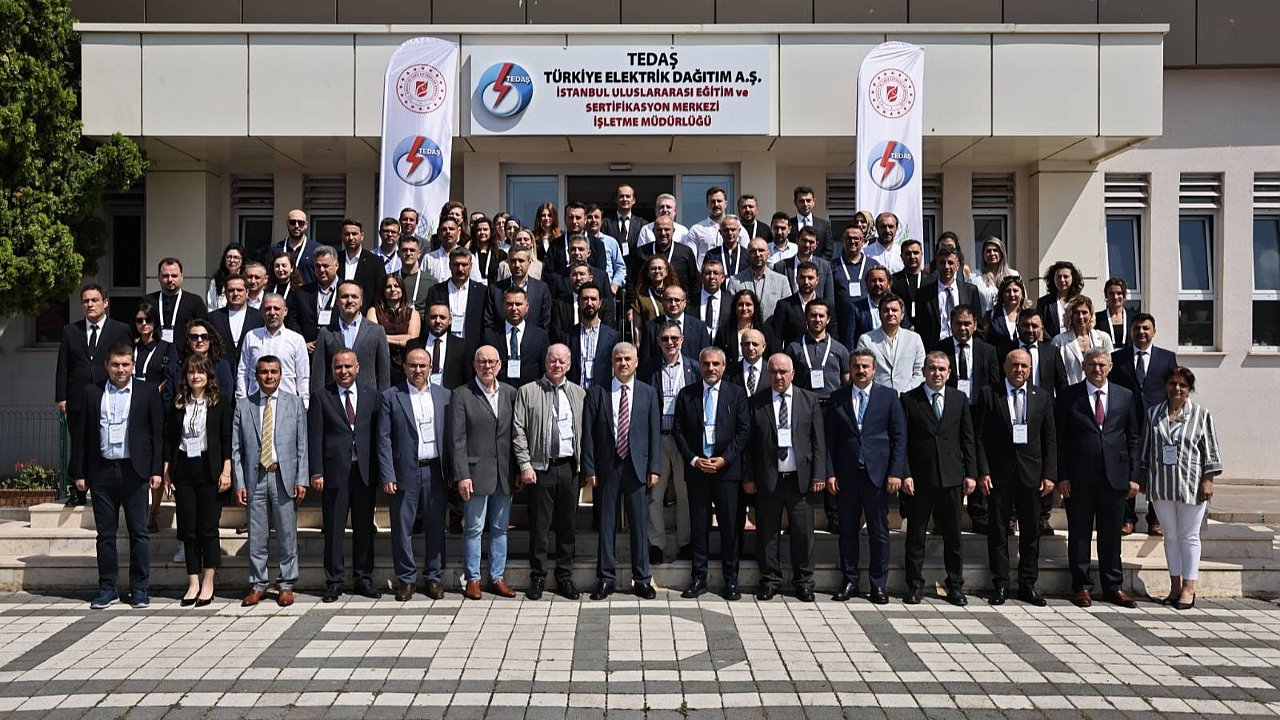 TEDAŞ, Türkiye Elektrik Dağıtım Sektöründe