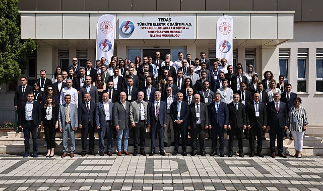 TEDAŞ, Türkiye Elektrik Dağıtım Sektöründe 