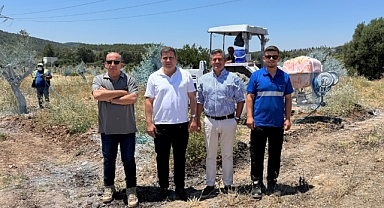 Yeniköy Kemerköy Enerji ile zeytinler büyüyor Milas kazanıyor