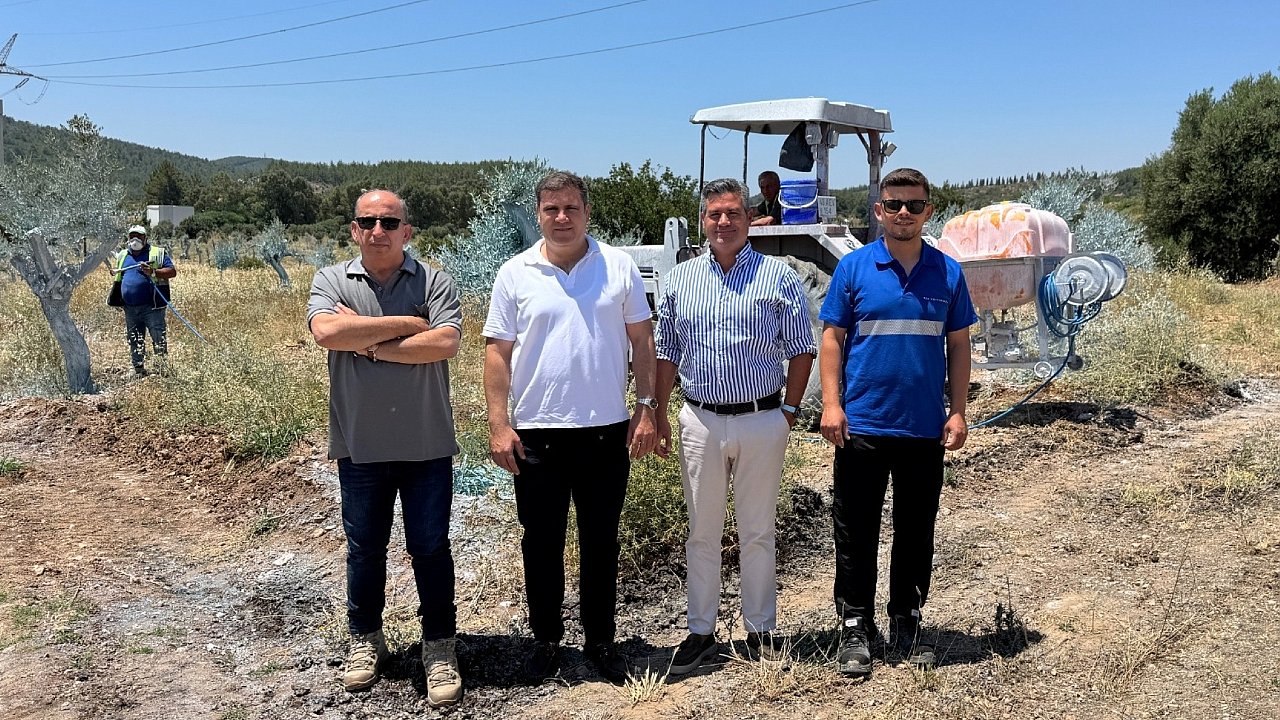 Yeniköy Kemerköy Enerji ile zeytinler büyüyor Milas kazanıyor